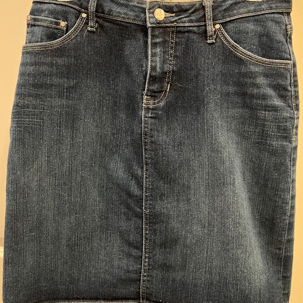 Denim Skirt - JAG Jeans